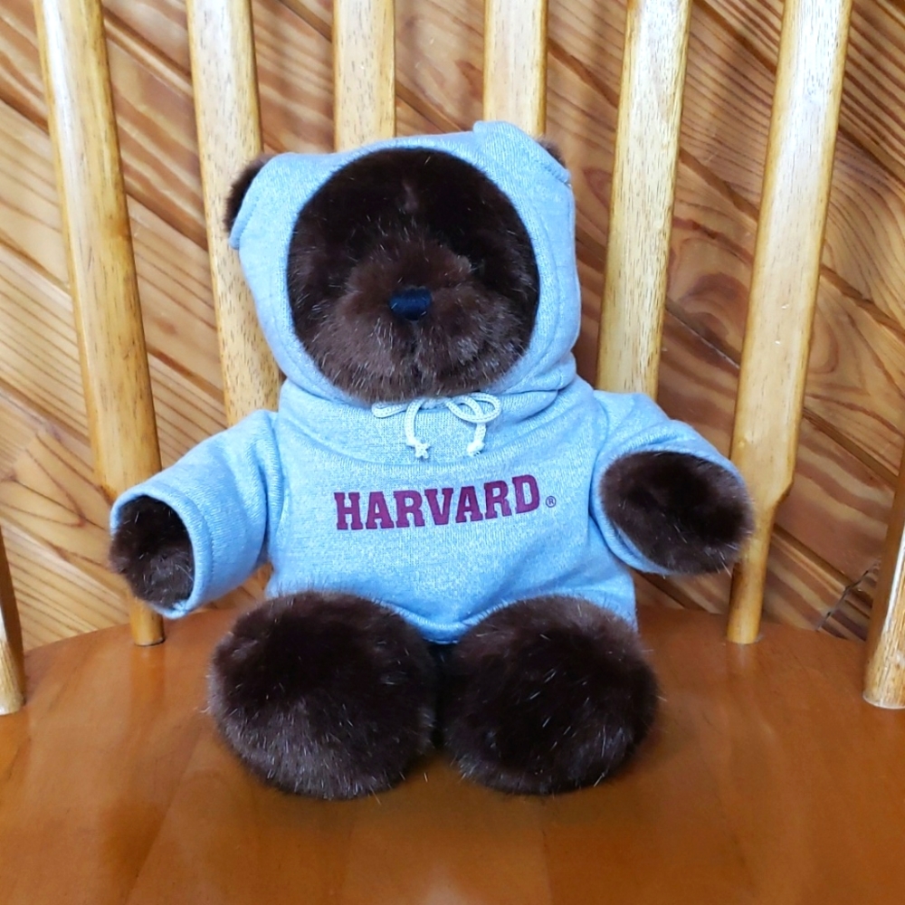 Harvard University Teddy Bear Plush It's all Greek to Me Hoodie